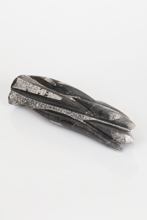 Belemnit Doğal Taş Kule