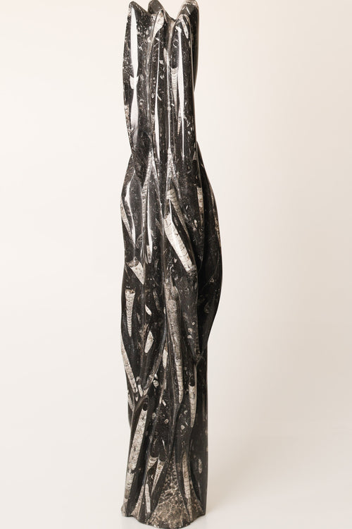 Belemnit Doğal Taş Kule