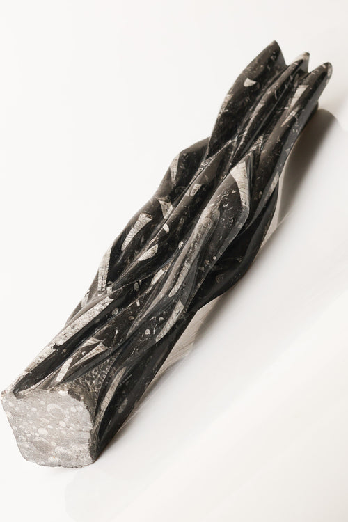 Belemnit Doğal Taş Kule