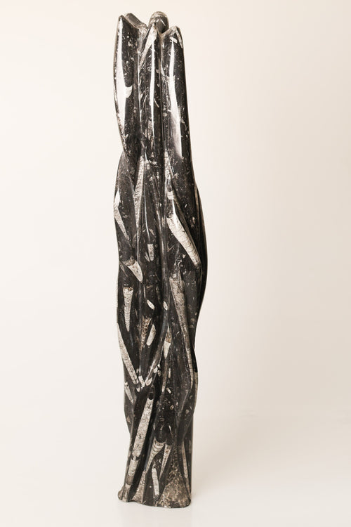 Belemnit Doğal Taş Kule