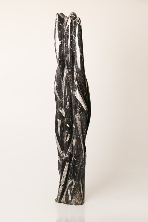 Belemnit Doğal Taş Kule