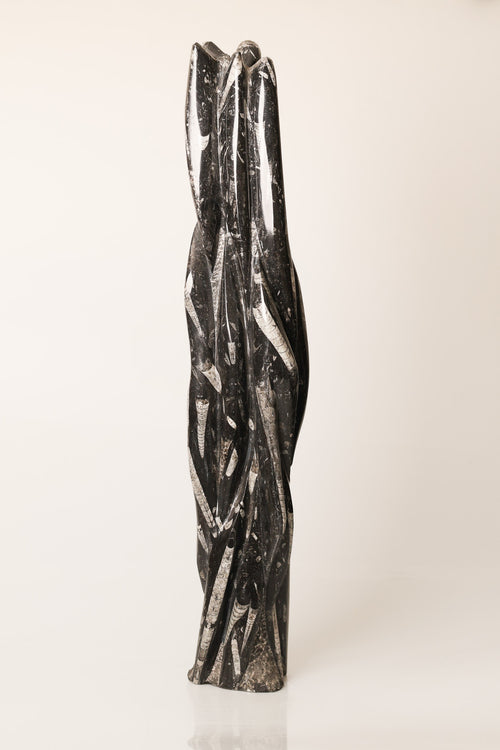 Belemnit Doğal Taş Kule