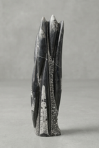 Belemnit Doğal Taş Kule