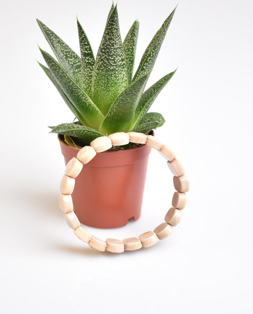 Sertifikalı Beyaz Mercan Doğal Taş Bileklik – Özel Rolex Kesim