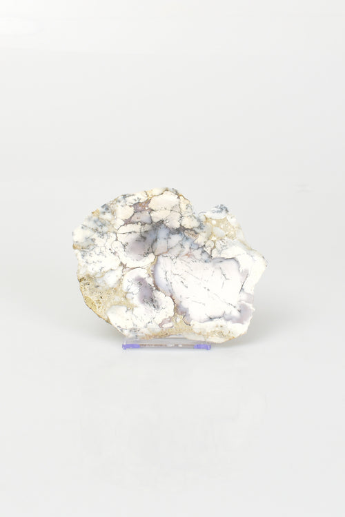 Dentiritli Opal Doğal Taş Standlı Plaka