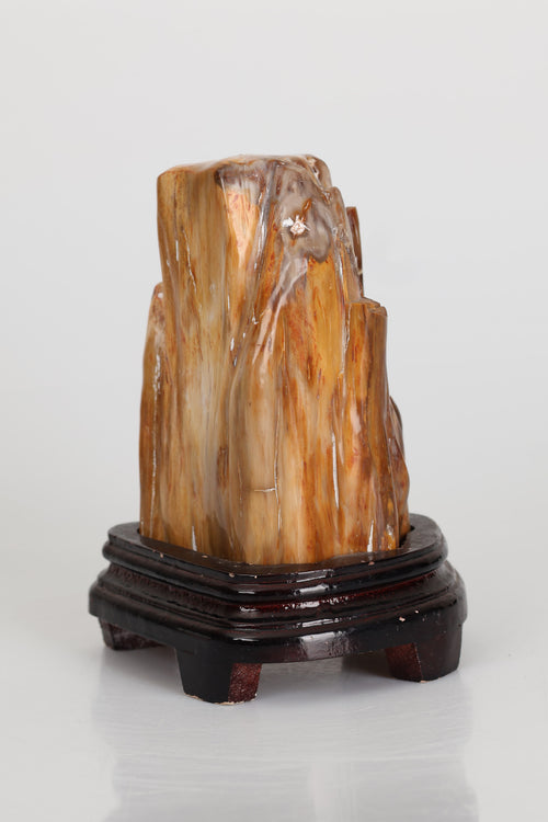 Fosil Ağaç Doğal Taş