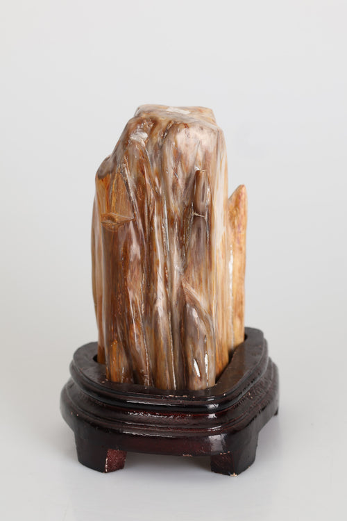 Fosil Ağaç Doğal Taş