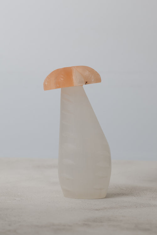 Selenit Doğal Taş Mantar Kule