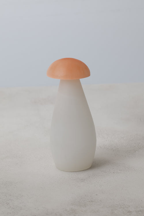 Selenit Doğal Taş Mantar Kule