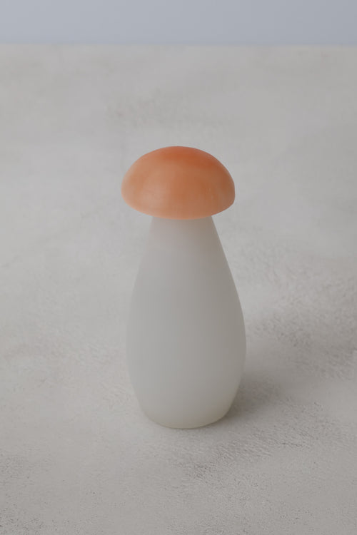 Selenit Doğal Taş Mantar Kule