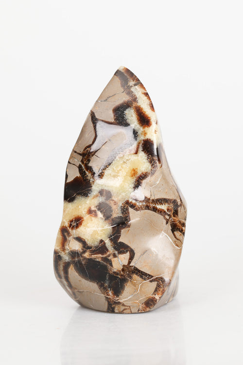 Septeryan Doğal Taş Jeod