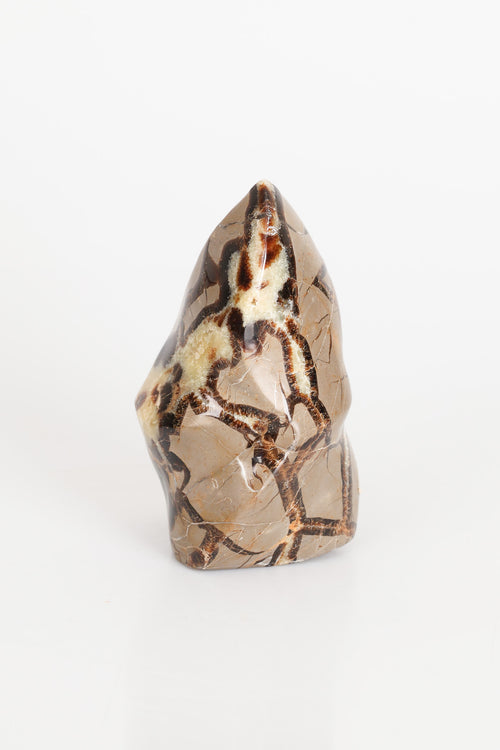 Septeryan Doğal Taş Jeod