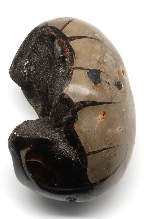 Septeryan Doğal Taş Koleksiyonluk Parça – 1368 Gr | SafNaturel