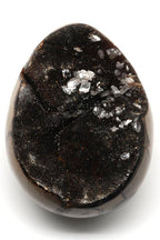 Septarian Natural Stone Piece – 793 Gr | Collectible Fossil-Look Decorative Natural Stone