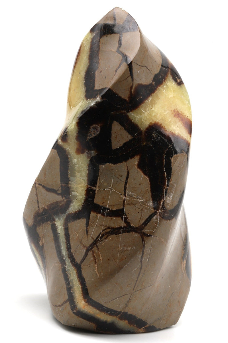 Septeryan Doğaltaş Spiral Parça – 1373 gr - Görsel 2 - Safnaturel