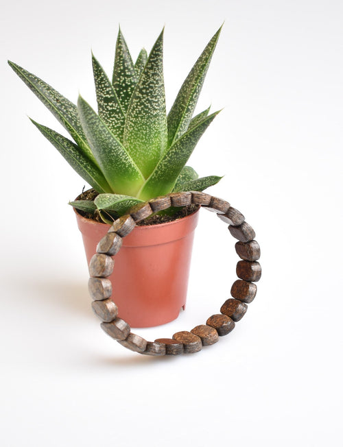 Sertifikalı Bronzit Doğal Taş Bileklik – Özel Rolex Kesim