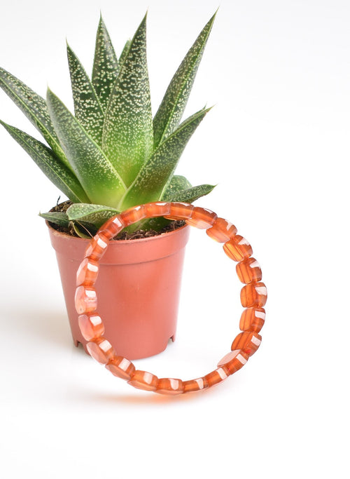 Certified Red Agate Natural Stone Bracelet – Special Rolex Cut