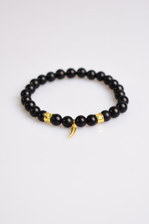 Turmalin Doğal Taş 925 Gümüş Aparatlı Erkek Bileklik