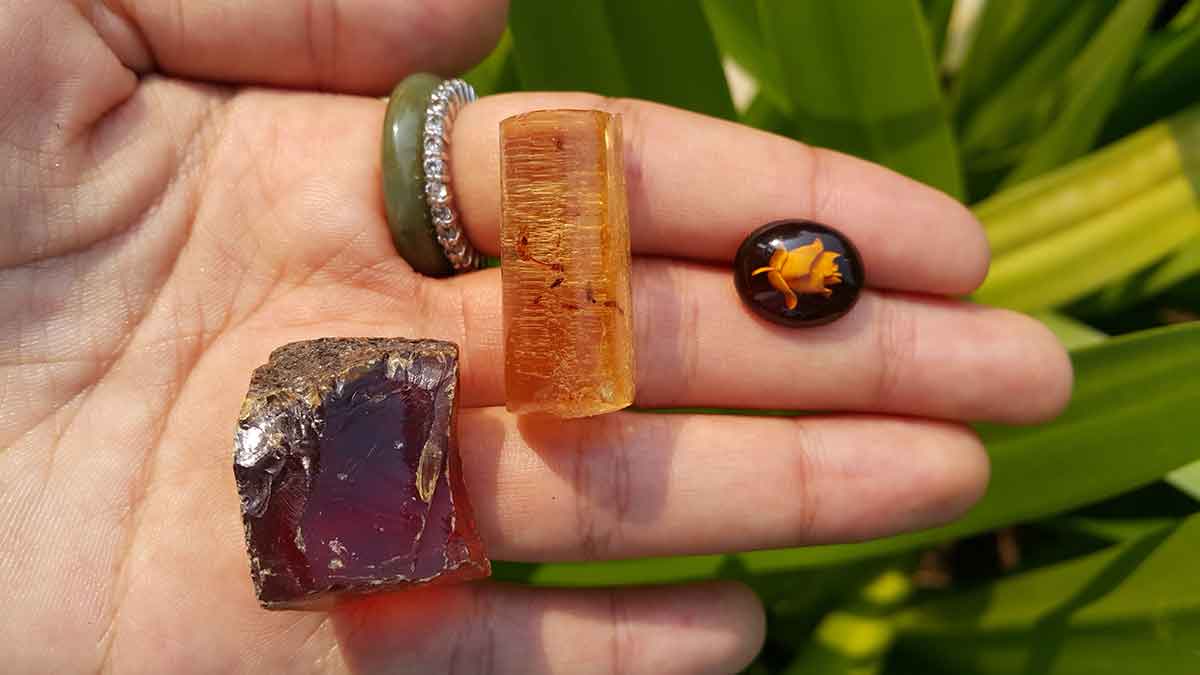 What are the differences between amber and fossilized resin? – Safnaturel