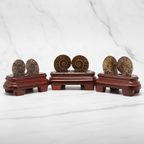 Ammonite Fosil Standlı Parça – Safnaturel (144 gr)