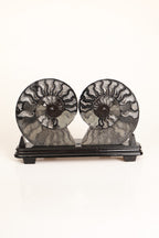 Amonit Doğal Taş Standlı Fosil