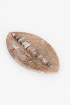 Belemnit Doğal Taş Fosil Çanak