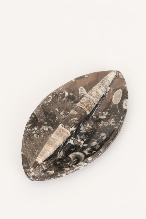 Belemnit Doğal Taş Fosil Çanak