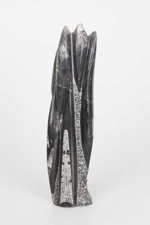 Belemnit Doğal Taş Kule