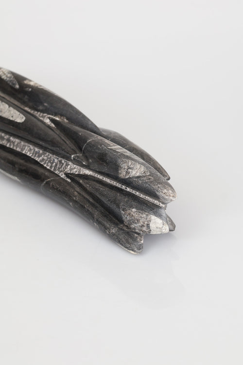 Belemnit Doğal Taş Kule