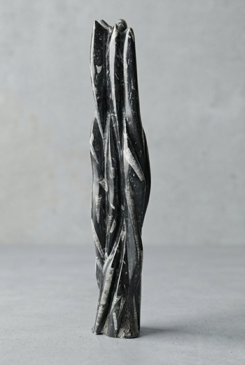 Belemnit Doğal Taş Kule