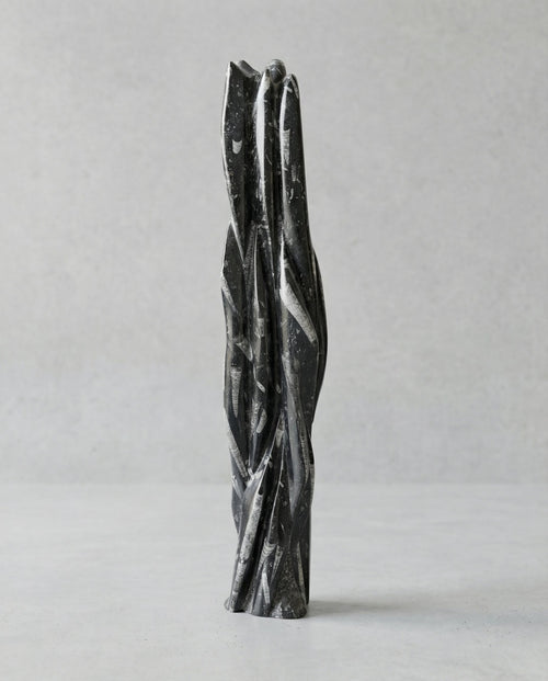 Belemnit Doğal Taş Kule