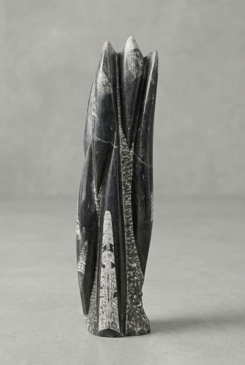 Belemnit Doğal Taş Kule