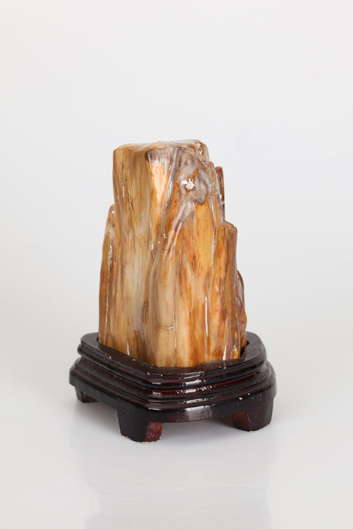 Fosil Ağaç Doğal Taş