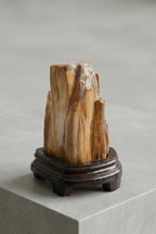 Fosil Ağaç Doğal Taş