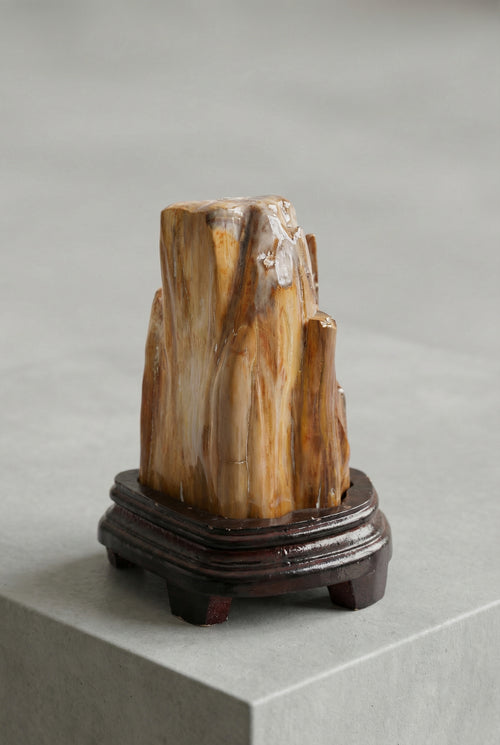 Fosil Ağaç Doğal Taş