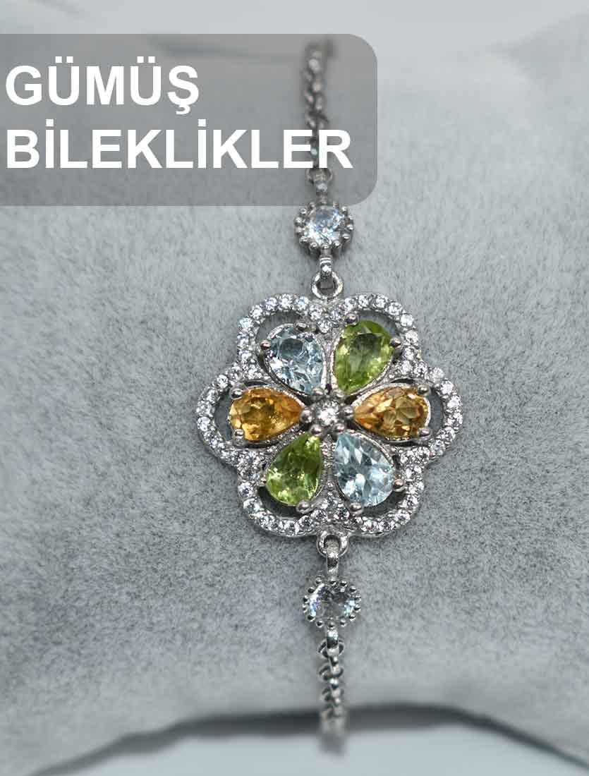 Gümüş Bilekliklerin bulunduğu koleksiyon