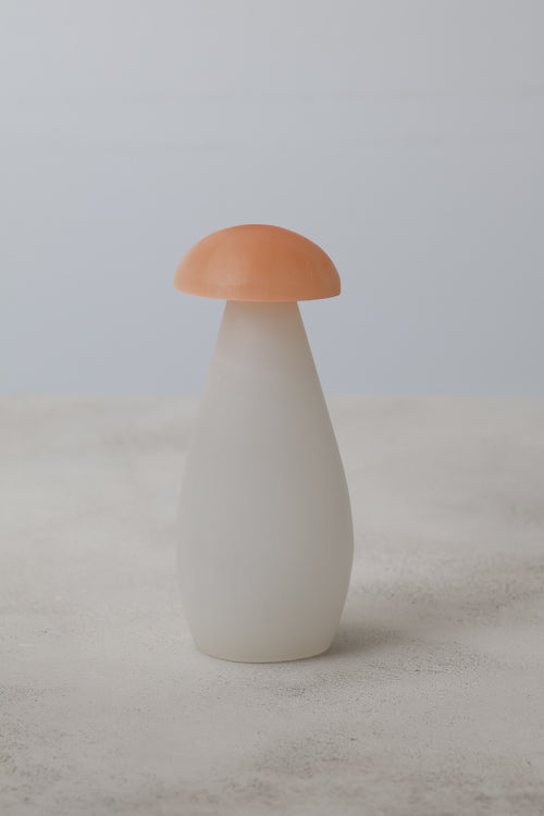 Selenit Doğal Taş Mantar Kule