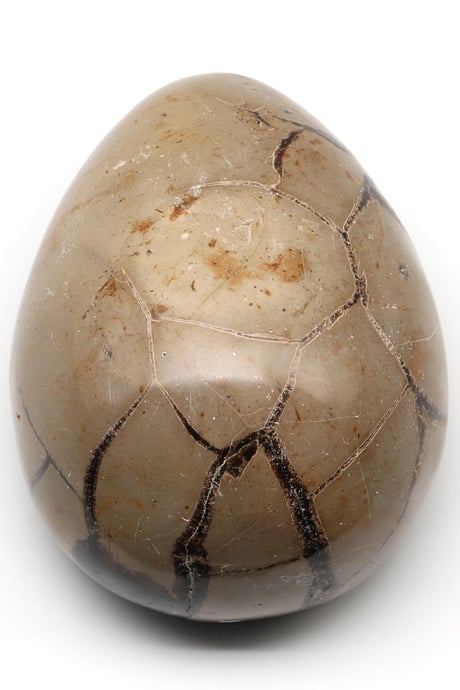 Septarian Natural Stone Piece – 793 Gr | Collectible Fossil-Look Decorative Natural Stone